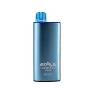 SKALA ICE 12000 - Малина со льдом