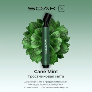 SOAK S 2500 - ТРОСТНИКОВАЯ МЯТА